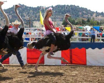 10 manje poznatih sportova širom sveta