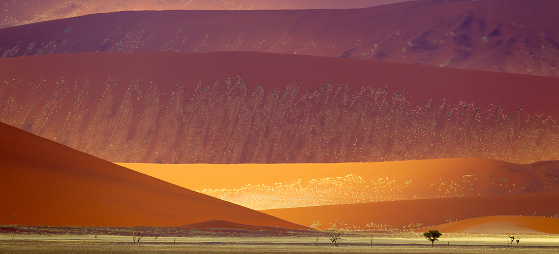 Nacionalni park Namib-Naukluft (Namibija)