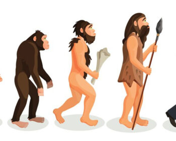 10 zabluda o evoluciji čovečanstva