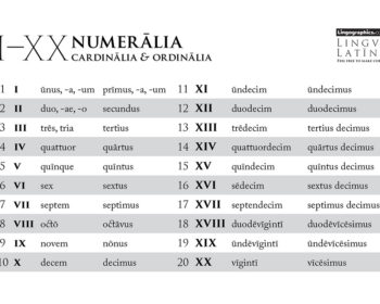 10 latinskih termina za oznacavanje redosleda brojeva