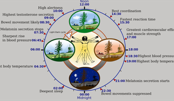 Cirkadijalni ritam: 10 načina kako utiče na naš život