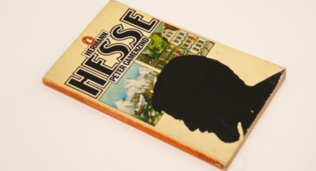 10 ključnih momenata iz romana “Peter Kamencind” – Herman Hese