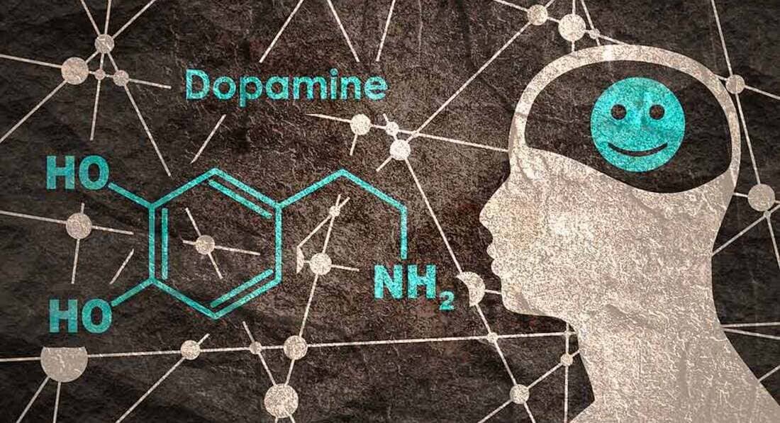 10 zanimljivosti o dopaminu