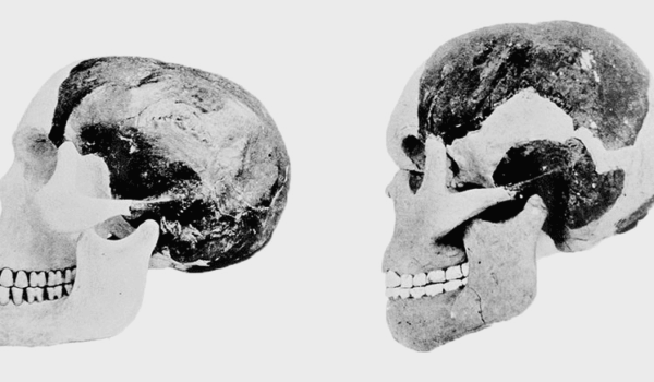 10 neverovatnih prevara kroz istoriju